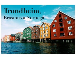 Trondheim,
Erasmus a Noruega
 