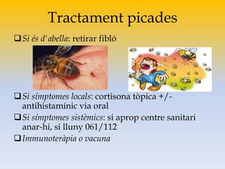 Tractament picades
Si és d'abella: retirar fibló
Si símptomes locals: cortisona tòpica +/-
antihistamínic via oral
Si símptomes sistèmics: si aprop centre sanitari
anar-hi, si lluny 061/112
Immunoteràpia o vacuna
 