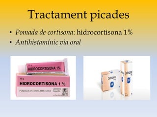 Tractament picades
• Pomada de cortisona: hidrocortisona 1%
• Antihistamínic via oral
 
