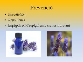 Prevenció
• Insecticides
• Repel·lents
- Espígol: oli d'espígol amb crema hidratant
 