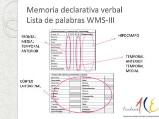 Memoria declarativa verbal 
Lista de palabras WMS-III 
HIPOCAMPO 
TEMPORAL 
ANTERIOR 
TEMPORAL 
MEDIAL 
FRONTAL 
MEDIAL 
TEMPORAL 
ANTERIOR 
CÓRTEX 
ENTORRINAL 
 