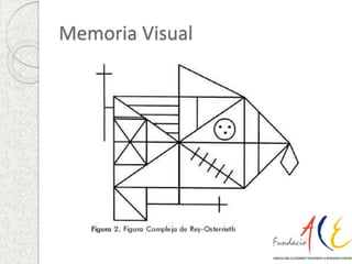 Memoria Visual 
 