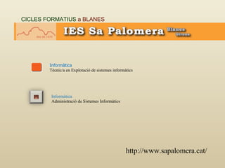 CICLES FORMATIUS  a BLANES Informàtica Tècnic/a en Explotació de sistemes informàtics http://www.sapalomera.cat/ Informàtica  Administració de Sistemes Informàtics 