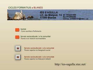 Sanitat Cures auxiliars d'infermeria Serveis socioculturals i a la comunitat Tècnic/a en Atenció sociosanitària  Serveis socioculturals i a la comunitat Tècnic superior en Educació infantil Serveis socioculturals i a la comunitat Tècnic superior en Integració social CICLES FORMATIUS  a BLANES http://ies-sagulla.xtec.net/ 