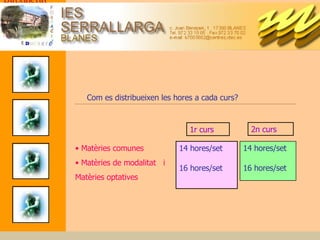 Com es distribueixen les hores a cada curs? Matèries comunes Matèries de modalitat  i  Matèries optatives 14 hores/set 16 hores/set  14 hores/set 16 hores/set  1r curs 2n curs 