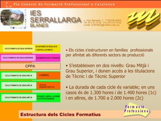 Els cicles s’estructuren en famílies  professionals per afinitat als diferents sectors de producció S’estableixen en dos nivells: Grau Mitjà i  Grau Superior, i donen accés a les titulacions de Tècnic i de Tècnic Superior La durada de cada cicle és variable; en uns casos és de 1.300 hores i de 1.400 hores (1c) i en altres, de 1.700 a 2.000 hores (2c) Estructura dels Cicles Formatius CPPA COMERÇ GESTIÓ ADMINISTRATIVA 