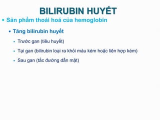 BILIRUBIN HUYẾT
 Sản phẩm thoái hoá của hemoglobin
 Tăng bilirubin huyết
 Trước gan (tiêu huyết)
 Tại gan (bilirubin loại ra khỏi máu kém hoặc liên hợp kém)
 Sau gan (tắc đường dẫn mật)
 