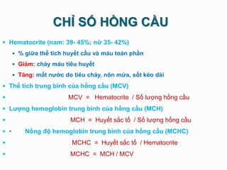 CHỈ SỐ HỒNG CẦU
 Hematocrite (nam: 39- 45%; nữ 35- 42%)
 % giữa thể tích huyết cầu và máu toàn phần
 Giảm: chảy máu tiêu huyết
 Tăng: mất nước do tiêu chảy, nôn mửa, sốt kéo dài
 Thể tích trung bình của hồng cầu (MCV)
 MCV = Hematocrite / Số lượng hồng cầu
 Lượng hemoglobin trung bình của hồng cầu (MCH)
 MCH = Huyết sắc tố / Số lượng hồng cầu
 • Nồng độ hemoglobin trung bình của hồng cầu (MCHC)
 MCHC = Huyết sắc tố / Hematocrite
 MCHC = MCH / MCV
 