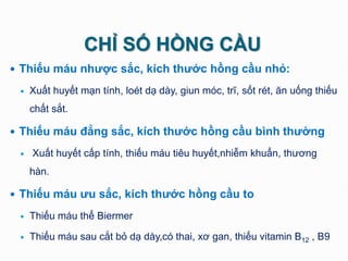 CHỈ SỐ HỒNG CẦU
 Thiếu máu nhược sắc, kích thước hồng cầu nhỏ:
 Xuất huyết mạn tính, loét dạ dày, giun móc, trĩ, sốt rét, ăn uống thiếu
chất sắt.
 Thiếu máu đẳng sắc, kích thước hồng cầu bình thường
 Xuất huyết cấp tính, thiếu máu tiêu huyết,nhiễm khuẩn, thương
hàn.
 Thiếu máu ưu sắc, kích thước hồng cầu to
 Thiếu máu thể Biermer
 Thiếu máu sau cắt bỏ dạ dày,có thai, xơ gan, thiếu vitamin B12 , B9
 