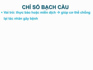 CHỈ SỐ BẠCH CẦU
 Vai trò: thực bào hoặc miễn dịch  giúp cơ thể chống
lại tác nhân gây bệnh
 