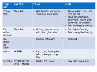 LOẠI
BC
VAI TRÒ TĂNG GIẢM
Trung
tính
Thực bào • NKcấp tính: viêm phổi,
viêm ruột thừa, nhọt
• Thương hàn, cúm, sởi,
HIV, sốt rét
• Thuốcphenothiazin,
phenytoin, kháng sinh,
sulfamid, trị ung thư
• Tổn thương tủy xương
Đa
nhân
ưa acid
Thực bào • dị ứng, hen, eczema,
các bệnh giun, sán
• Sốc, bệnh Cushing
• Tủy xương tổn thương
Đa
nhân
ưa
kiềm
• Dị ứng, mẫn cảm • corticoid
Mono  ĐTB • Lao, cúm, thương hàn,
nấm, viêm gan, ung
thư…
Lympho LYM B:MDTD
LYM T: MDTB
• Nhiễm VK, virus • Suy giảm miễn dịch
 