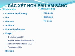 CÁC XÉT NGHIỆM LÂM SÀNG
 XN sinh hóa
 Creatinin huyết tương
 Ure
 Glucose
 Acid uric
 Protein huyết thanh
 Enzym
 Creatininkinase (CK)
 Aspartat amino transferase (ASAT)
 Alanin amino transferase (ALAT)
 Phosphatase kiềm
 Bilirubin
 XN huyết học
 Hồng cầu
 Bạch cầu
 Tiểu cầu
 