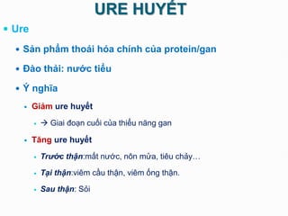 URE HUYẾT
 Ure
 Sản phẩm thoái hóa chính của protein/gan
 Đào thải: nước tiểu
 Ý nghĩa
 Giảm ure huyết
  Giai đoạn cuối của thiểu năng gan
 Tăng ure huyết
 Trước thận:mất nước, nôn mửa, tiêu chảy…
 Tại thận:viêm cầu thận, viêm ống thận.
 Sau thận: Sỏi
 
