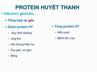 PROTEIN HUYẾT THANH
 Albumin, globulin…
 Tổng hợp tại gan
 Giảm protein HT
 Suy dinh dưỡng
 Ung thư
 Hội chứng thận hư
 Suy gan, xơ gan.
 Bỏng
 Tăng protein HT
 Mất nước
 Bệnh đa u tủy
 