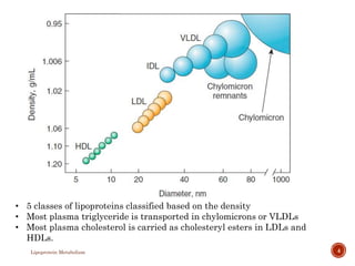 Lipoprotein Metabolism 4
• 5 classes of lipoproteins classified based on the density
• Most plasma triglyceride is transpo...