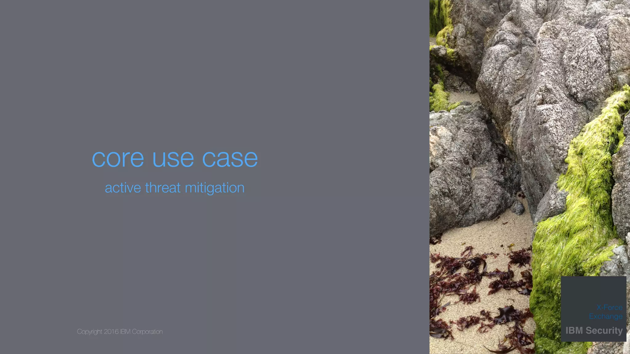 Copyright 2016 IBM Corporation
core use case
active threat mitigation
 