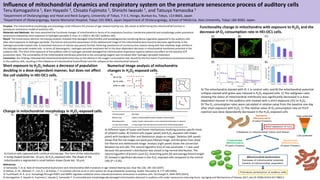 https://image.slidesharecdn.com/xfifos2017v2-180507123519/85/influence-of-mitochondrial-dynamics-and-respiratory-system-on-the-premature-senescence-process-of-auditory-cells-1-320.jpg?cb=1673030538