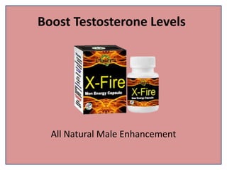 Boost Testosterone Levels
All Natural Male Enhancement
 