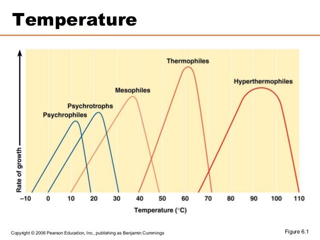 [Micro] growth and culturing of bacteria