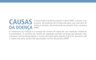 O mecanismo da mutação é a variação do número de cópias de uma repetição instável de
trinucleotídeos. O aumento do número de repetições acontece ao longo das gerações. Nos
indivíduos normais da população, o número de cópias desta sequência de CGG varia de 6 a 40
e o gene está ativo, produzindo quantidades normais de proteína FMRP
A maioria dos mamíferos possuem o gene FMR1, inclusive o ser
humano. Na Síndrome do X-Frágil este gene, por uma série de
fatores é anulado, não produzindo seu produto final, a proteína
FMRP.
 