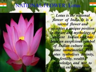 NATIONAL FLOWER: Lotus
Lotus is the national
flower of India. It is a
sacred flower and
occupies a unique position
in the art and mythology of
ancient Indian and has
been an auspicious symbol
of Indian culture since
time immemorial. The
Lotus synbolises divinity,
fertility, wealth,
knowledge and not to
forget enlightenment.
 