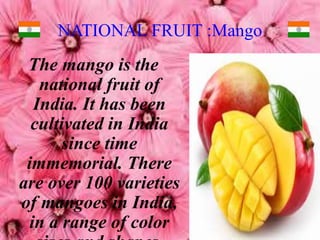 NATIONAL FRUIT :Mango
The mango is the
national fruit of
India. It has been
cultivated in India
since time
immemorial. There
are over 100 varieties
of mangoes in India,
in a range of color
 