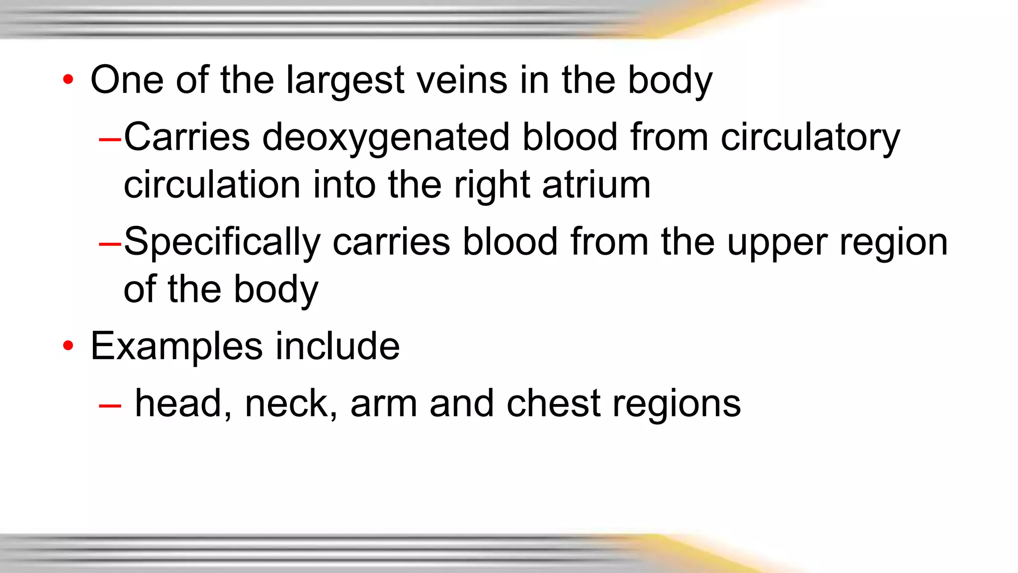 • One of the largest veins in the body 
–Carries deoxygenated blood from circulatory 
circulation into the right atrium 
–Specifically carries blood from the upper region 
of the body 
• Examples include 
– head, neck, arm and chest regions 
 