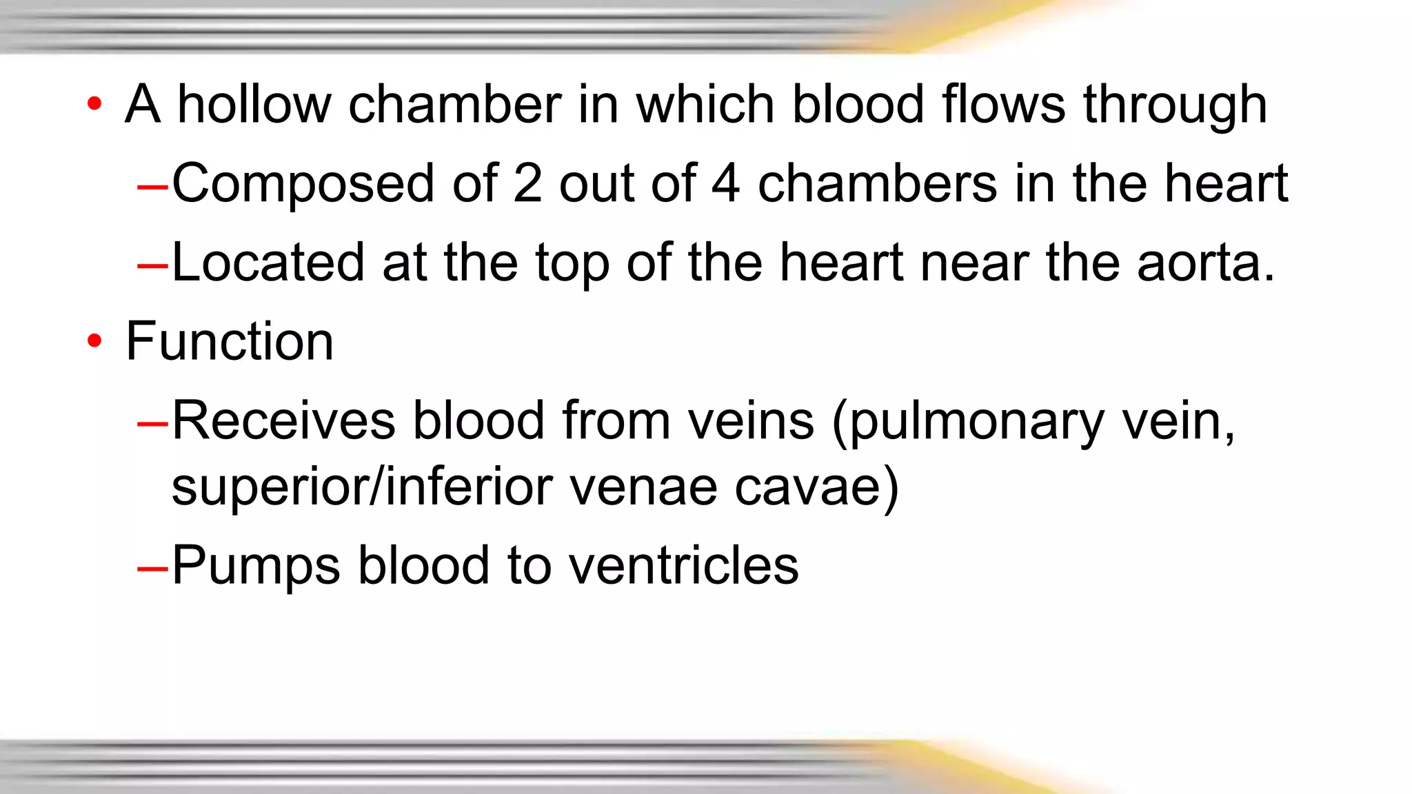 • A hollow chamber in which blood flows through 
–Composed of 2 out of 4 chambers in the heart 
–Located at the top of the heart near the aorta. 
• Function 
–Receives blood from veins (pulmonary vein, 
superior/inferior venae cavae) 
–Pumps blood to ventricles 
 