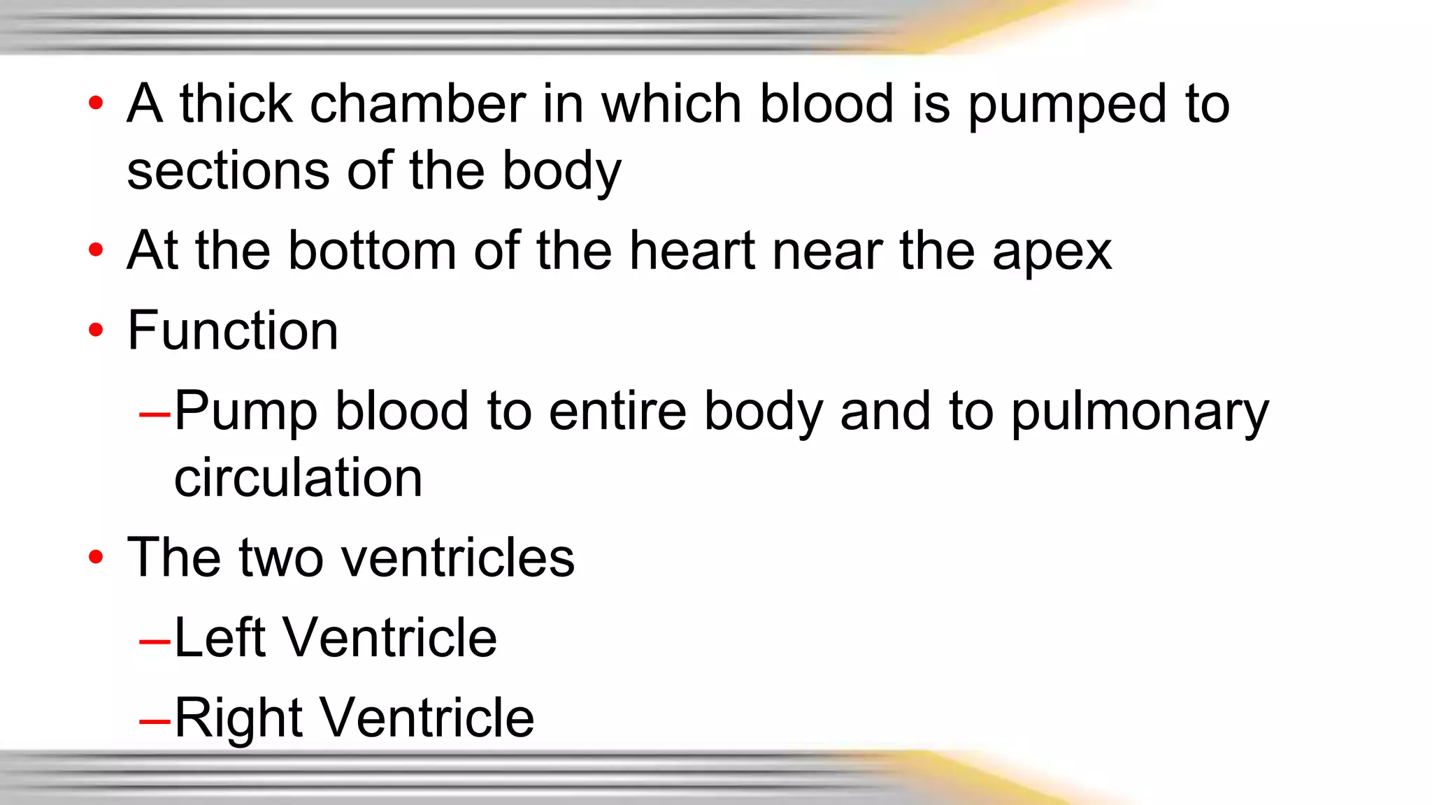 • A thick chamber in which blood is pumped to 
sections of the body 
• At the bottom of the heart near the apex 
• Function 
–Pump blood to entire body and to pulmonary 
circulation 
• The two ventricles 
–Left Ventricle 
–Right Ventricle 
 