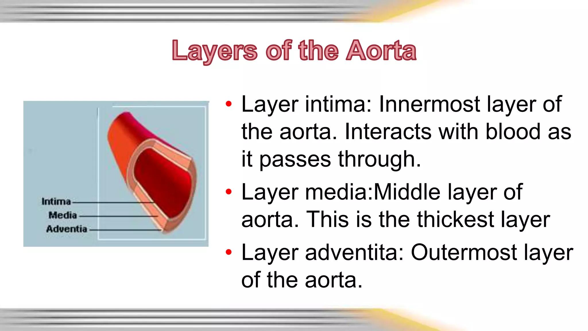 • Layer intima: Innermost layer of 
the aorta. Interacts with blood as 
it passes through. 
• Layer media:Middle layer of 
aorta. This is the thickest layer 
• Layer adventita: Outermost layer 
of the aorta. 
 