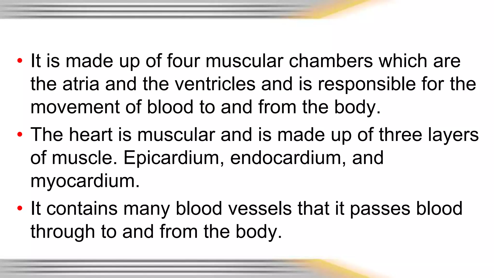 • It is made up of four muscular chambers which are 
the atria and the ventricles and is responsible for the 
movement of blood to and from the body. 
• The heart is muscular and is made up of three layers 
of muscle. Epicardium, endocardium, and 
myocardium. 
• It contains many blood vessels that it passes blood 
through to and from the body. 
 