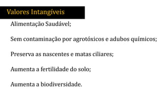 Valores Intangíveis
Alimentação Saudável;
Sem contaminação por agrotóxicos e adubos químicos;
Preserva as nascentes e matas ciliares;
Aumenta a fertilidade do solo;
Aumenta a biodiversidade.
 