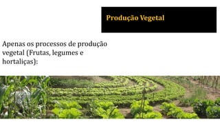 Produção Vegetal
Apenas os processos de produção
vegetal (Frutas, legumes e
hortaliças):
 