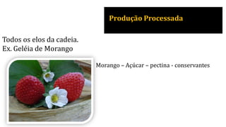 Produção Processada
Todos os elos da cadeia.
Ex. Geléia de Morango
Morango – Açúcar – pectina - conservantes
 