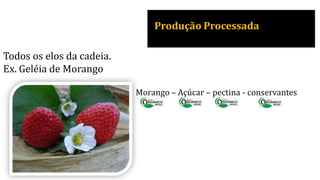 Produção Processada
Todos os elos da cadeia.
Ex. Geléia de Morango
Morango – Açúcar – pectina - conservantes
 