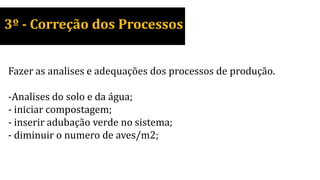 3º - Correção dos Processos
Fazer as analises e adequações dos processos de produção.
-Analises do solo e da água;
- iniciar compostagem;
- inserir adubação verde no sistema;
- diminuir o numero de aves/m2;
 