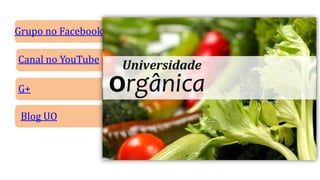 Grupo no Facebook
Canal no YouTube
G+
Blog UO
 