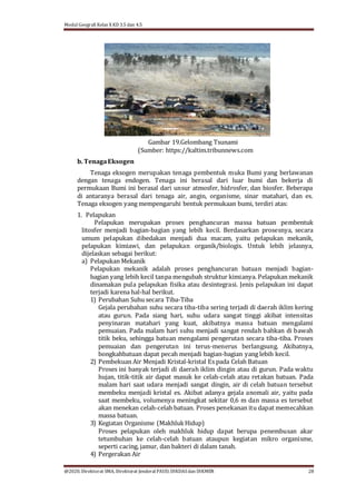 Modul Geografi Kelas X KD 3.5 dan 4.5
@2020, Direktorat SMA, Direktorat Jenderal PAUD, DIKDASdan DIKMEN 28
b. TenagaEksogen
Gambar 19.Gelombang Tsunami
(Sumber: https://kaltim.tribunnews.com
Tenaga eksogen merupakan tenaga pembentuk muka Bumi yang berlawanan
dengan tenaga endogen. Tenaga ini berasal dari luar bumi dan bekerja di
permukaan Bumi ini berasal dari unsur atmosfer, hidrosfer, dan biosfer. Beberapa
di antaranya berasal dari tenaga air, angin, organisme, sinar matahari, dan es.
Tenaga eksogen yang mempengaruhi bentuk permukaan bumi, terdiri atas:
1. Pelapukan
Pelapukan merupakan proses penghancuran massa batuan pembentuk
litosfer menjadi bagian-bagian yang lebih kecil. Berdasarkan prosesnya, secara
umum pelapukan dibedakan menjadi dua macam, yaitu pelapukan mekanik,
pelapukan kimiawi, dan pelapukan organik/biologis. Untuk lebih jelasnya,
dijelaskan sebagai berikut:
a) Pelapukan Mekanik
Pelapukan mekanik adalah proses penghancuran batuan menjadi bagian-
bagian yang lebih kecil tanpa mengubah struktur kimianya. Pelapukan mekanik
dinamakan pula pelapukan ﬁsika atau desintegrasi. Jenis pelapukan ini dapat
terjadi karena hal-hal berikut.
1) Perubahan Suhu secara Tiba-Tiba
Gejala perubahan suhu secara tiba-tiba sering terjadi di daerah iklim kering
atau gurun. Pada siang hari, suhu udara sangat tinggi akibat intensitas
penyinaran matahari yang kuat, akibatnya massa batuan mengalami
pemuaian. Pada malam hari suhu menjadi sangat rendah bahkan di bawah
titik beku, sehingga batuan mengalami pengerutan secara tiba-tiba. Proses
pemuaian dan pengerutan ini terus-menerus berlangsung. Akibatnya,
bongkahbatuan dapat pecah menjadi bagian-bagian yang lebih kecil.
2) Pembekuan Air Menjadi Kristal-kristal Es pada Celah Batuan
Proses ini banyak terjadi di daerah iklim dingin atau di gurun. Pada waktu
hujan, titik-titik air dapat masuk ke celah-celah atau retakan batuan. Pada
malam hari saat udara menjadi sangat dingin, air di celah batuan tersebut
membeku menjadi kristal es. Akibat adanya gejala anomali air, yaitu pada
saat membeku, volumenya meningkat sekitar 0,6 m dan massa es tersebut
akan menekan celah-celah batuan. Proses penekanan itu dapat memecahkan
massa batuan.
3) Kegiatan Organisme (MakhlukHidup)
Proses pelapukan oleh makhluk hidup dapat berupa penembusan akar
tetumbuhan ke celah-celah batuan ataupun kegiatan mikro organisme,
seperti cacing, jamur, dan bakteri di dalam tanah.
4) Pergerakan Air
 