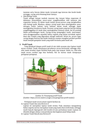 Modul Geografi Kelas X KD 3.5 dan 4.5
@2020, Direktorat SMA, Direktorat Jenderal PAUD, DIKDASdan DIKMEN 40
tanaman serta hewan dalam tanah, termasuk juga kotoran dan lendir-lendir
serangga, cacing, serta binatang besar lainnya.
c. Sifat Biologi Tanah
Tanah sebagai tempat tumbuh tanaman dan tempat hidup organisme di
dalamnya menyediakan unsur-unsur yangdibutuhkan oleh tanaman dan
organisme lainnya. Di dalam tanah terjadi proses-proses yang menghasilkan
sifat biologi tanah. Misalnya, adanya cacing tanah akan meningkatkan unsur
nitrogen, fosfor, kalium, serta kalsium dalam tanah sehingga dapat
meningkatkan kesuburan tanah. Peranan cacing tanah yang lain berupa lubang
yangditinggalkan di tanah akan meningkatkan drainase tanah, hal ini penting
dalam perkembangan tanah. Cacing-cacing mengangkut tanah, mencampur,
serta menggumpalkan sejumlah bahan organik yang belum terombak seperti
daun dan rumput yang digunakan sebagai makanan. Selain itu, secara tegas
cacing dengan kotoran dan lendir-lendirnya mampu mengikat partikel-partikel
tanah menjadi gumpalan tanah yang stabil terutama pada tanah asli.
3. Profil Tanah
Yang dimaksud dengan profil tanah di sini ialah susunan atau lapisan tanah
secara vertikal. Tanah mempunyai persebaran secara horizontal, sehingga sifat-
sifat tanah tersebut dapat berbeda-beda pada tiap tempat. Selain itu, sifat-sifat
tanah secara vertikal juga bisa berbeda. Hal ini karena tanah mempunyai
perlapisan-perlapisan.
Gambar 21. Penampang profil Tanah
(Sumber: https://www.materi.carageo.com/pengertian-profil-tanah/)
Perlapisan tanah secara umum seperti berikut ini.
1) Lapisan Tanah Atas atau Horizon A
Lapisan ini merupakan lapisan tanah teratas. Pada umumnya mengandung
bahan organik, karena merupakan tanah yang muda (baru terbentuk), sehingga
masih banyak dipengaruhi oleh kondisi di atas permukaan tanah. Lapisan ini
ditandai dengan adanya zona perakaran dan kegiatan jasad hidup tanah.
2) Lapisan Tanah Bawah atau Horizon B
 