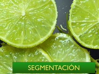 SEGMENTACIÓN
 