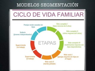 MODELOS SEGMENTACIÓN
 
