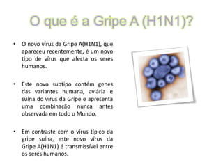 O que é a Gripe A (H1N1)?O novo vírus da Gripe A(H1N1), que apareceu recentemente, é um novo tipo de vírus que afecta os seres humanos. Este novo subtipo contém genes das variantes humana, aviária e suína do vírus da Gripe e apresenta uma combinação nunca antes observada em todo o Mundo. Em contraste com o vírus típico da gripe suína, este novo vírus da Gripe A(H1N1) é transmissível entre os seres humanos.