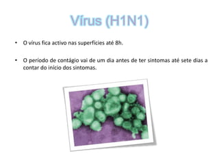 Vírus (H1N1)O vírus fica activo nas superfícies até 8h. O período de contágio vai de um dia antes de ter sintomas até sete dias a contar do início dos sintomas.