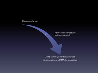 Microaneurismas
Permeabilidad vascular
(edema macular)
Cierre capilar y neovascularización
(rosarios venosos, IRMA, hemorragias)
 