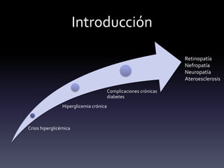 Introducción
Crisis hiperglicémica
Hiperglicemia crónica
Complicaciones crónicas
diabetes
Retinopatía
Nefropatía
Neuropatía
Ateroesclerosis
 