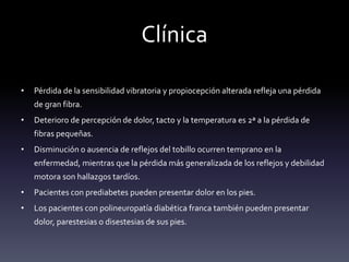 Clínica
• Pérdida de la sensibilidad vibratoria y propiocepción alterada refleja una pérdida
de gran fibra.
• Deterioro de percepción de dolor, tacto y la temperatura es 2ª a la pérdida de
fibras pequeñas.
• Disminución o ausencia de reflejos del tobillo ocurren temprano en la
enfermedad, mientras que la pérdida más generalizada de los reflejos y debilidad
motora son hallazgos tardíos.
• Pacientes con prediabetes pueden presentar dolor en los pies.
• Los pacientes con polineuropatía diabética franca también pueden presentar
dolor, parestesias o disestesias de sus pies.
 