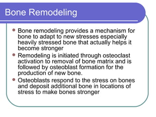growthand developmentofbone | PPT