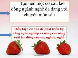 Tạo nên một cơ cấu lao
động ngành nghề đa dạng với
chuyên môn sâu
Điều kiện cơ bản để phát triển kỹ
năng nghề nghiệp và nâng cao năng
suất lao động của các ngành, nghề

 