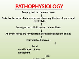 Any physical or chemical cause
↓
Disturbs the intracellular and extracellular equilbrium of water and
electrolytes
↓
Deranges the colloid system in lens fibres
↓
Aberrant fibres are formed from germinal epithelium of lens
↓
Epithelial cell necrosis
↓
Focal
opacification of lens
epithelium
(gla
PATHOPHYSIOLOGY
 