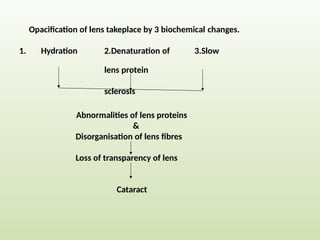 Opacification of lens takeplace by 3 biochemical changes.
1. Hydration 2.Denaturation of 3.Slow
lens protein
sclerosis
Abnormalities of lens proteins
&
Disorganisation of lens fibres
Loss of transparency of lens
Cataract
 